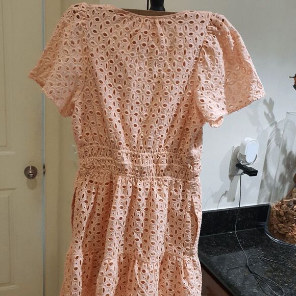 Anthropologie | The Somerset Mini Dress: Eyelet Edition in Pink - Size Small - Picture 6 of 10